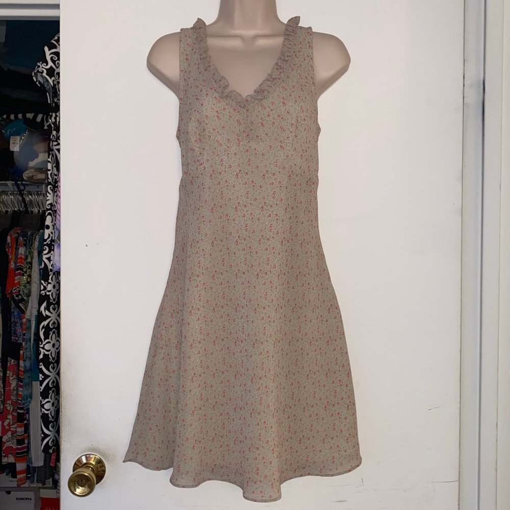 EXPRESS Tiny Pink Flowers & Green Sleeveless Dress